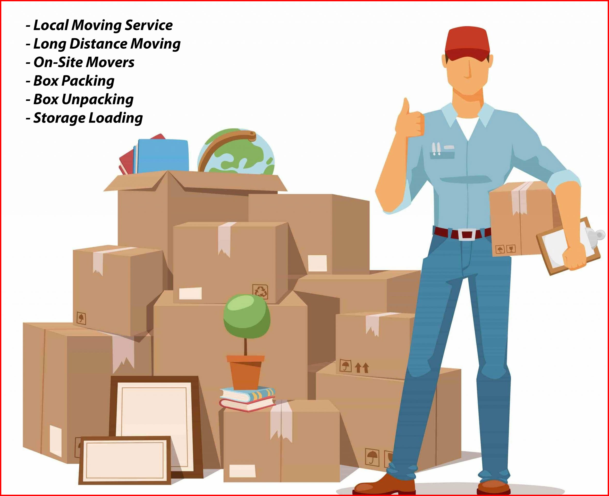 Packers And Movers Noida Sector 43